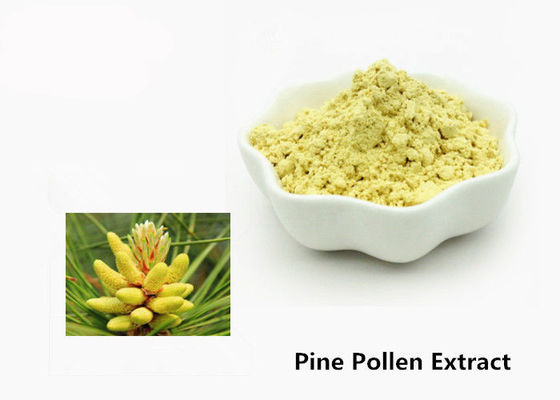 China Poeder van het het Stuifmeeluittreksel van de gezondheidszorg1kg het Natuurlijke Pijnboom leverancier