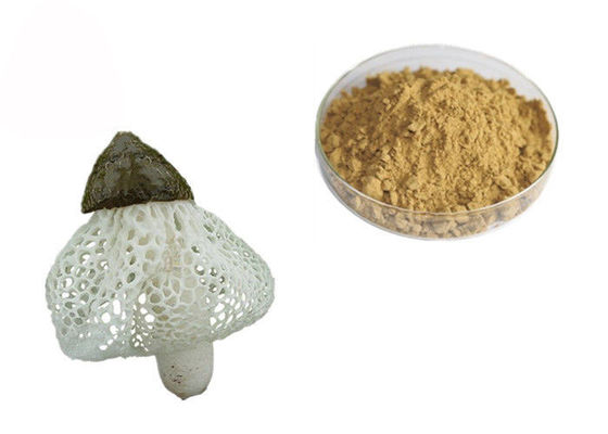 China Het organische Uittreksel van Dictyophora Indusiata leverancier