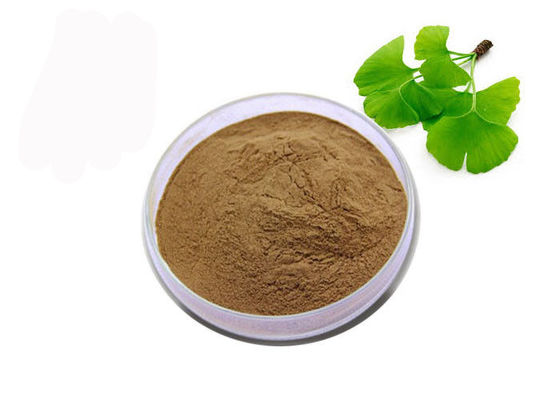 China USP-Poeder van Rang het Organische Ginkgo Biloba leverancier