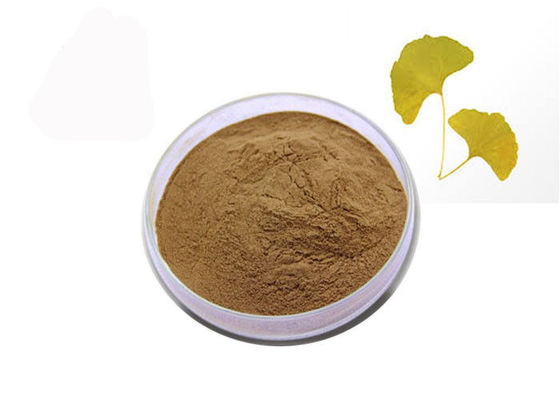 China 24% Flavones 6% Lactones Zuiver Natuurlijk het Uittrekselpoeder van Ginkgo Biloba leverancier