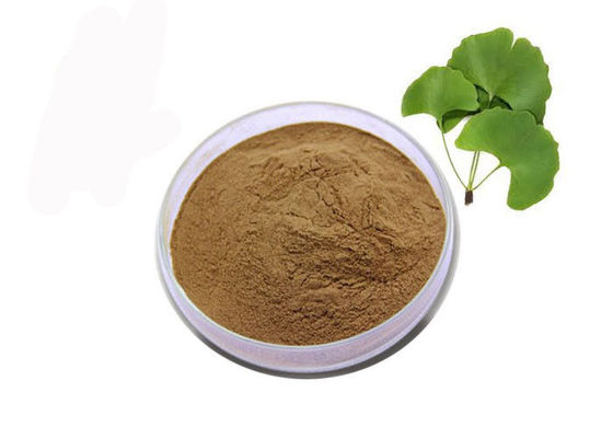 China Poeder van het het Bladuittreksel van Ginkgo Biloba van de voedselrang het Voedings Bruine leverancier