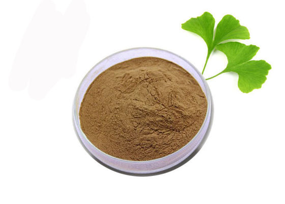 China Medisch Rang het Anti-oxyderende Zuiver Uittrekselpoeder van Ginkgo Biloba leverancier