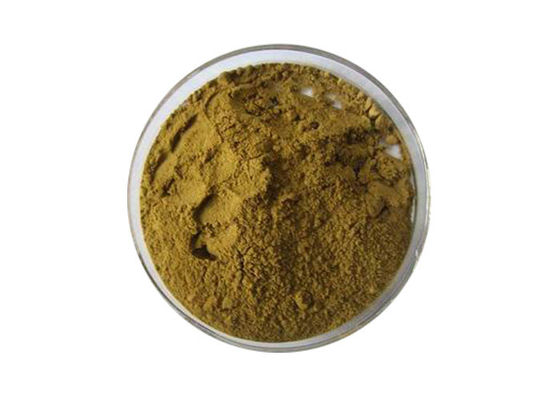 24% Flavones 6% Lactones Zuiver Natuurlijk het Uittrekselpoeder van Ginkgo Biloba leverancier