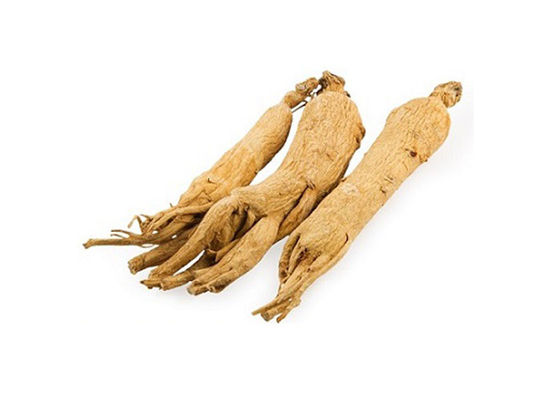 Gezondheidszorg die Immuun het Uittrekselpoeder verbeteren van de Wortelginseng leverancier