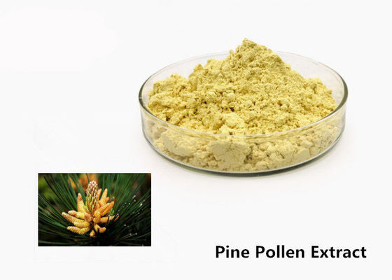 Poeder van het het Stuifmeeluittreksel van de gezondheidszorg1kg het Natuurlijke Pijnboom leverancier