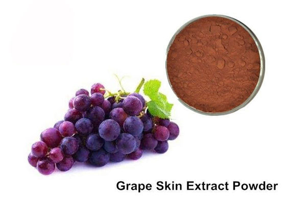 25% Anthocyanins Zuiver Druivepit/het Uittrekselpoeder van de Druivenhuid leverancier