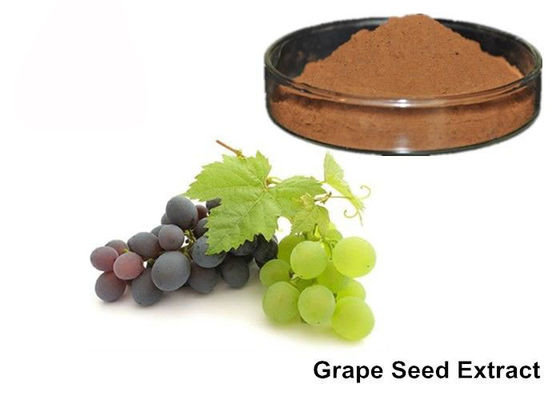 25% Anthocyanins Zuiver Druivepit/het Uittrekselpoeder van de Druivenhuid leverancier