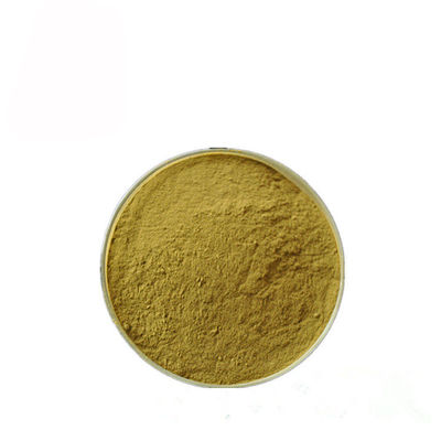 Gymnema Sylvestre Leaf Anthocyanin Extract Powder voor Geneesmiddel leverancier