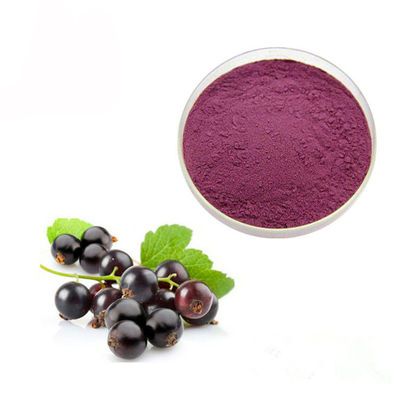 Geconcentreerd Anthocyanin van de Sap Zwarte bes 10% Uittrekselpoeder leverancier