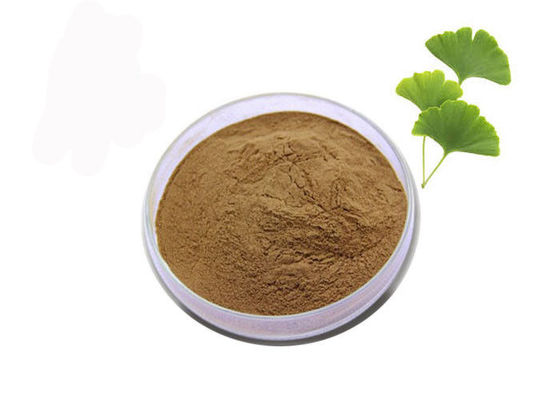 Regel Gestandaardiseerde Uittreksel van Bloed het Vette 24/6 Ginkgo Biloba leverancier