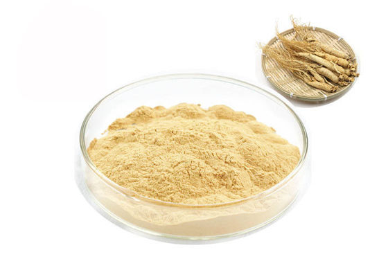 Het organische Siberische Uittreksel van de Wortel30% 80% Ginsenosides Zuivere Ginseng leverancier